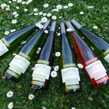 米特尔维Domaine Du Bouxhof公寓 外观 照片