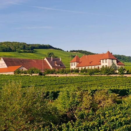 米特尔维Domaine Du Bouxhof公寓 外观 照片