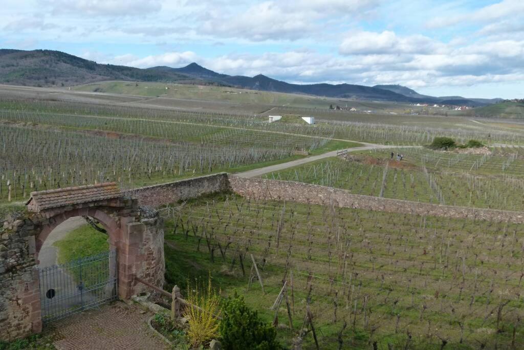 米特尔维Domaine Du Bouxhof公寓 外观 照片