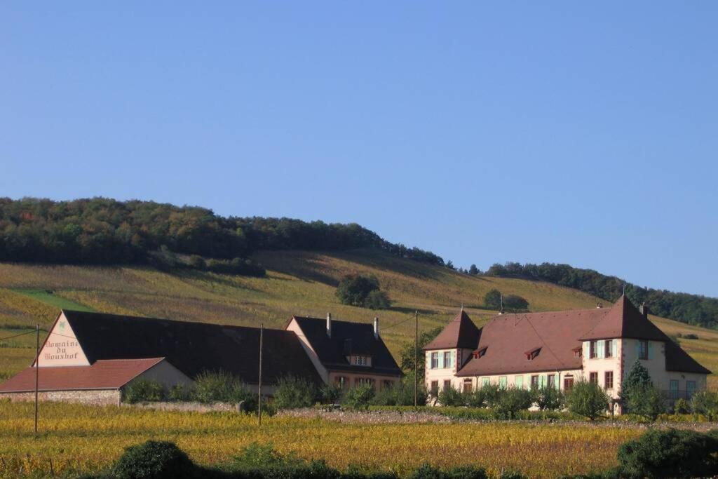 米特尔维Domaine Du Bouxhof公寓 外观 照片