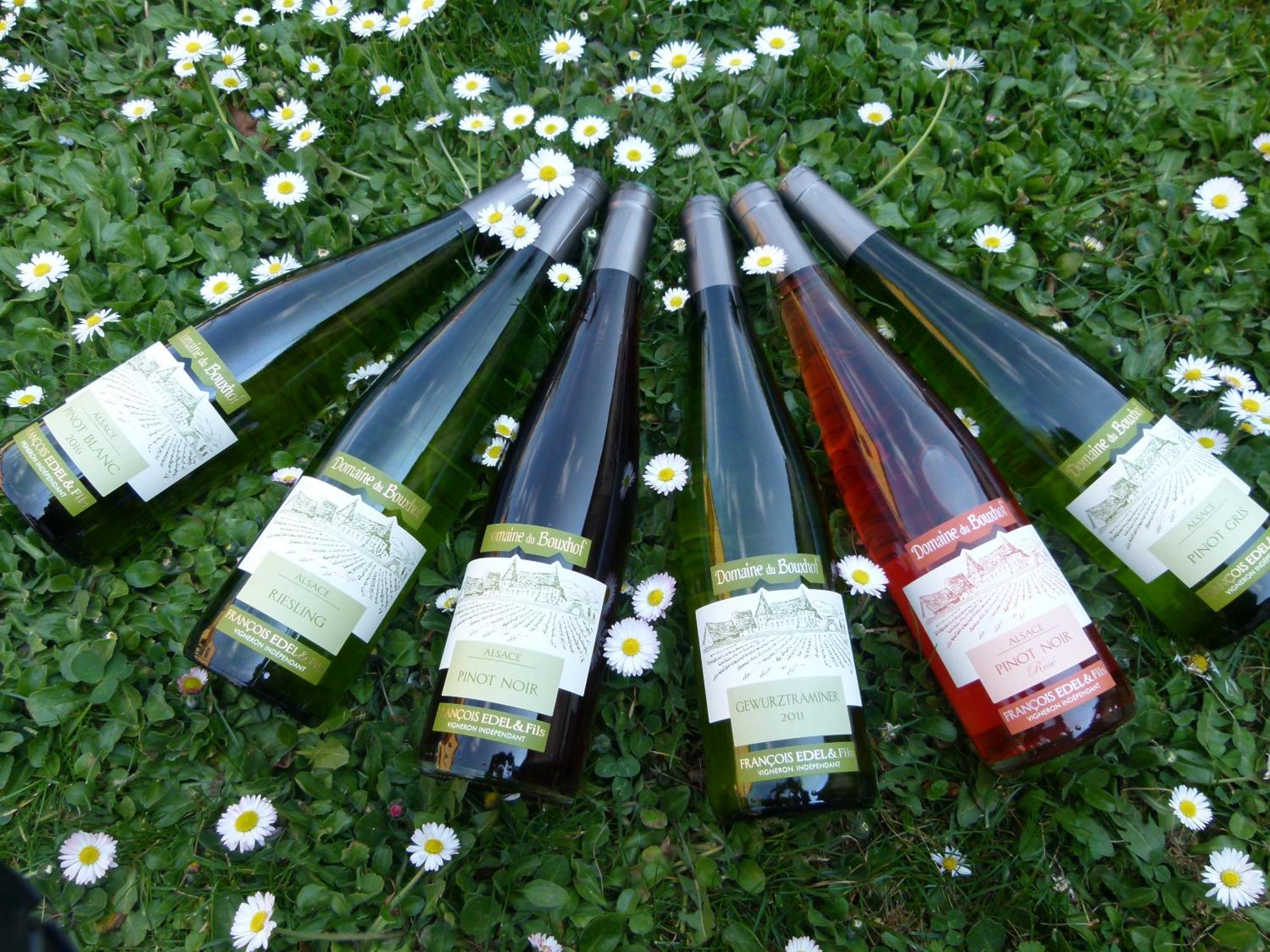 米特尔维Domaine Du Bouxhof公寓 外观 照片