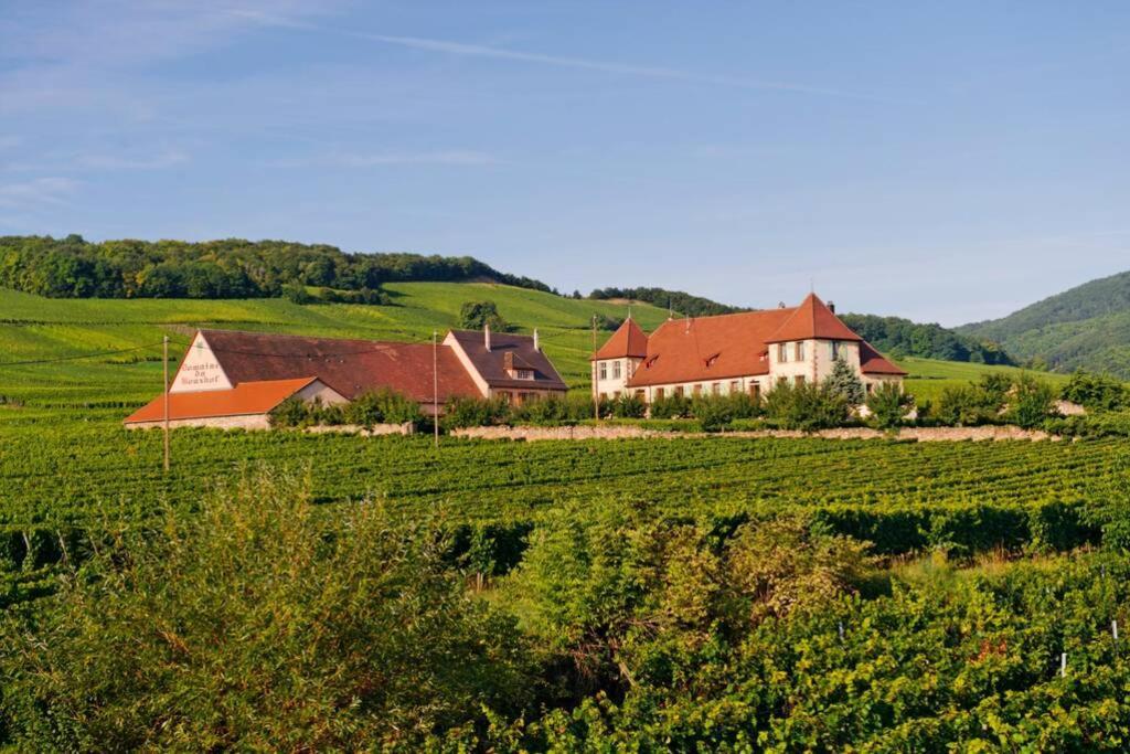 米特尔维Domaine Du Bouxhof公寓 外观 照片