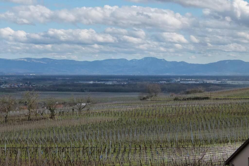 米特尔维Domaine Du Bouxhof公寓 外观 照片