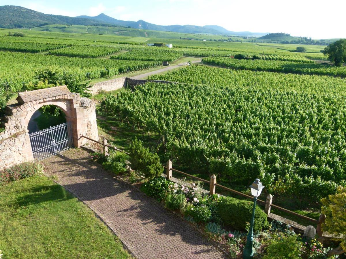 米特尔维Domaine Du Bouxhof公寓 外观 照片