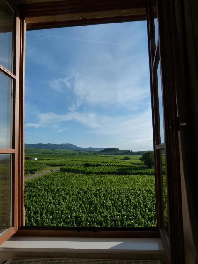 米特尔维Domaine Du Bouxhof公寓 外观 照片