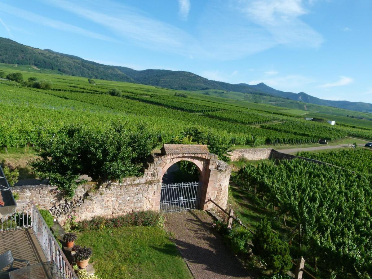 米特尔维Domaine Du Bouxhof公寓 外观 照片