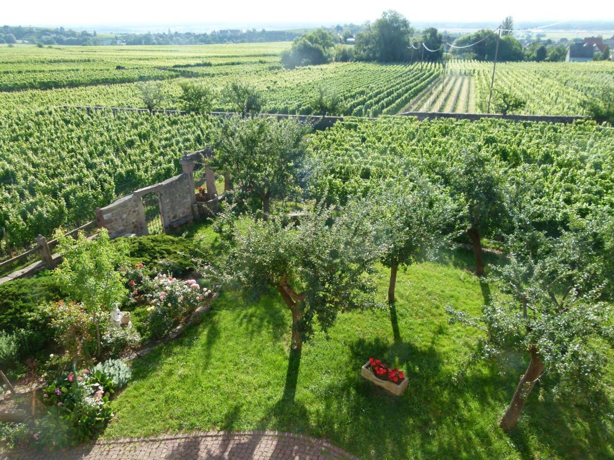 米特尔维Domaine Du Bouxhof公寓 外观 照片